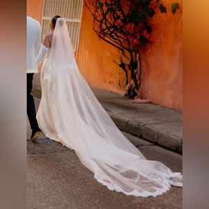 Cathedral length lace veil